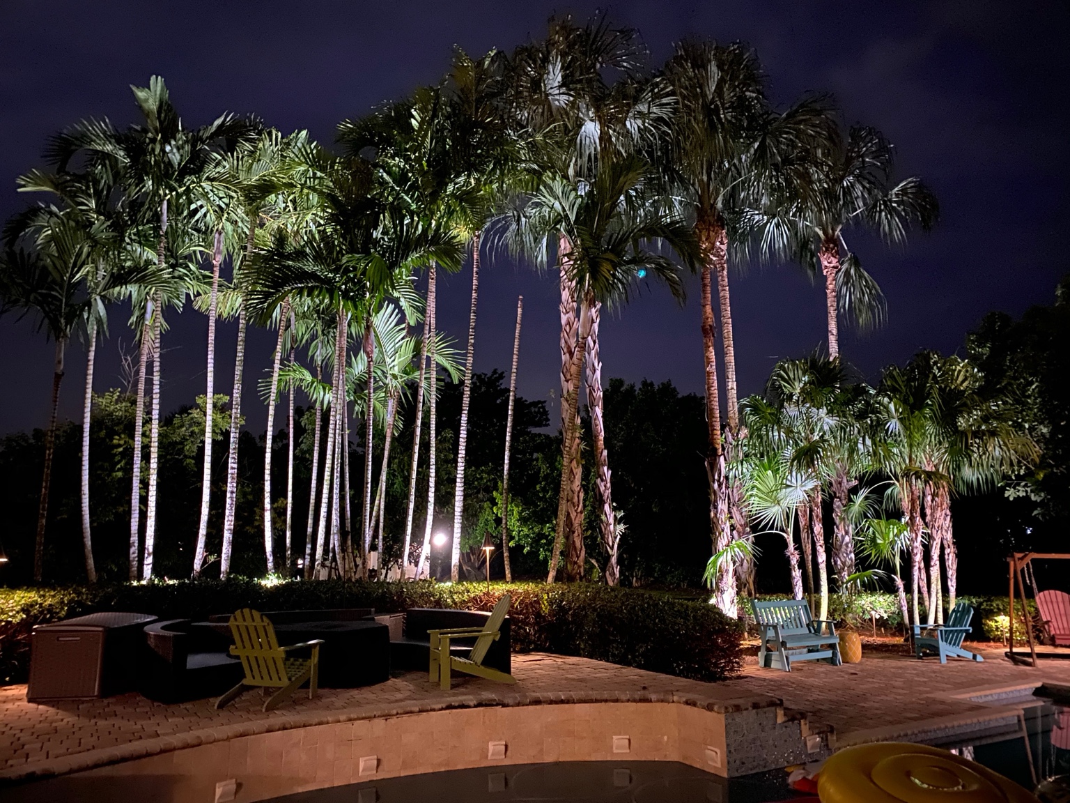 Landscape lighting around palm trees